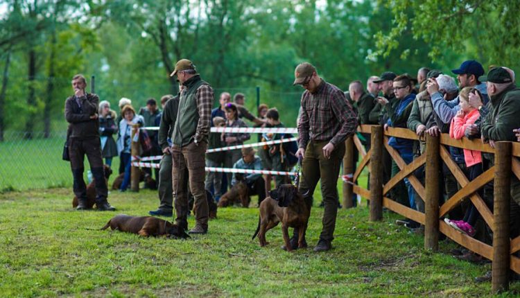FOTO: Deň poľovníckej kynológie prilákal stovky ľudí a psov