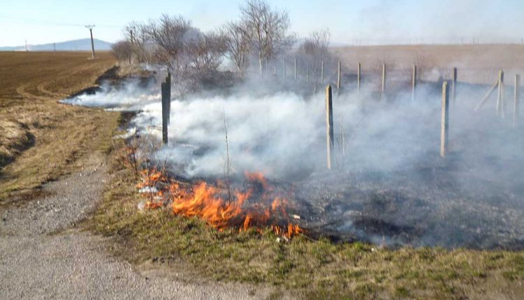 Hasiči varujú pred vypaľovaním tráv a suchých porastov