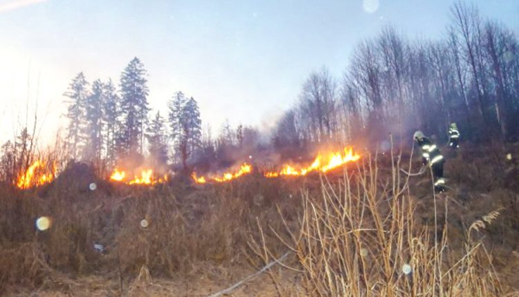 FOTO: Požiar rúbaniska pri obci Lysá pod Makytou
